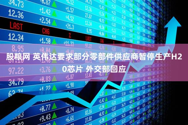股粮网 英伟达要求部分零部件供应商暂停生产H20芯片 外交部回应