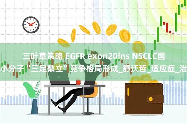 三叶草策略 EGFR exon20ins NSCLC国产小分子“三足鼎立”竞争格局形成_舒沃哲_适应症_治疗